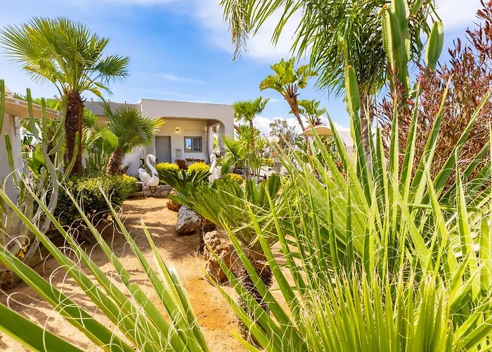 Renas Secret Garden House